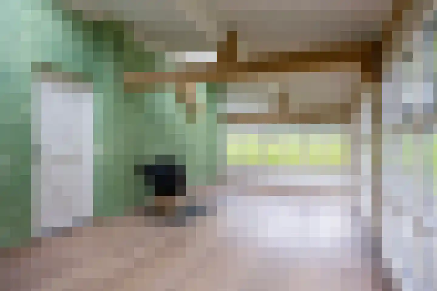 Baarstraat 15 Thorn thumbnail 64