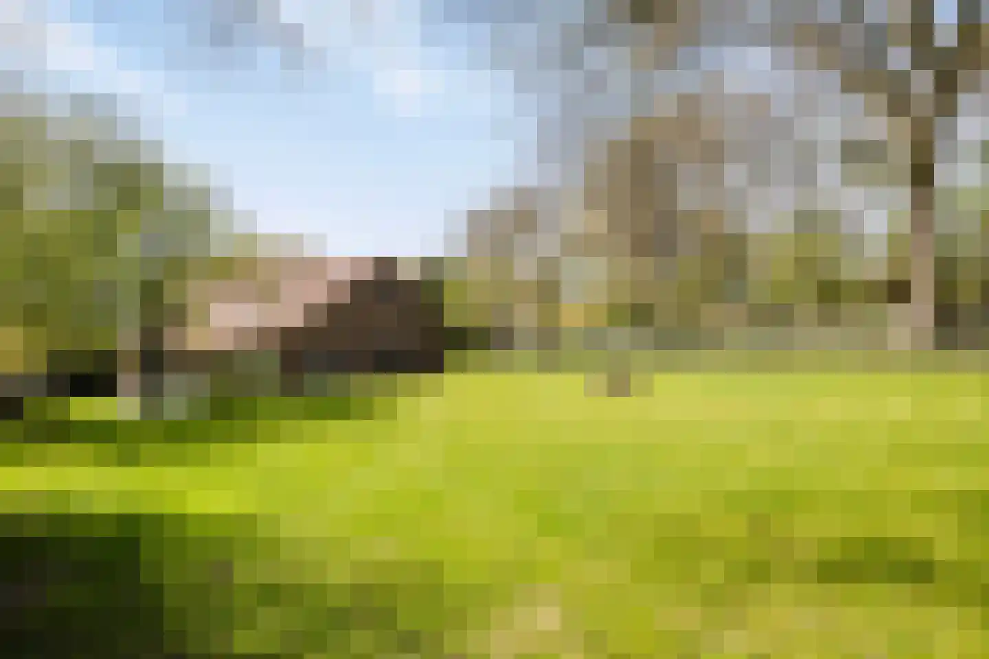 Baarstraat 15 Thorn thumbnail 66