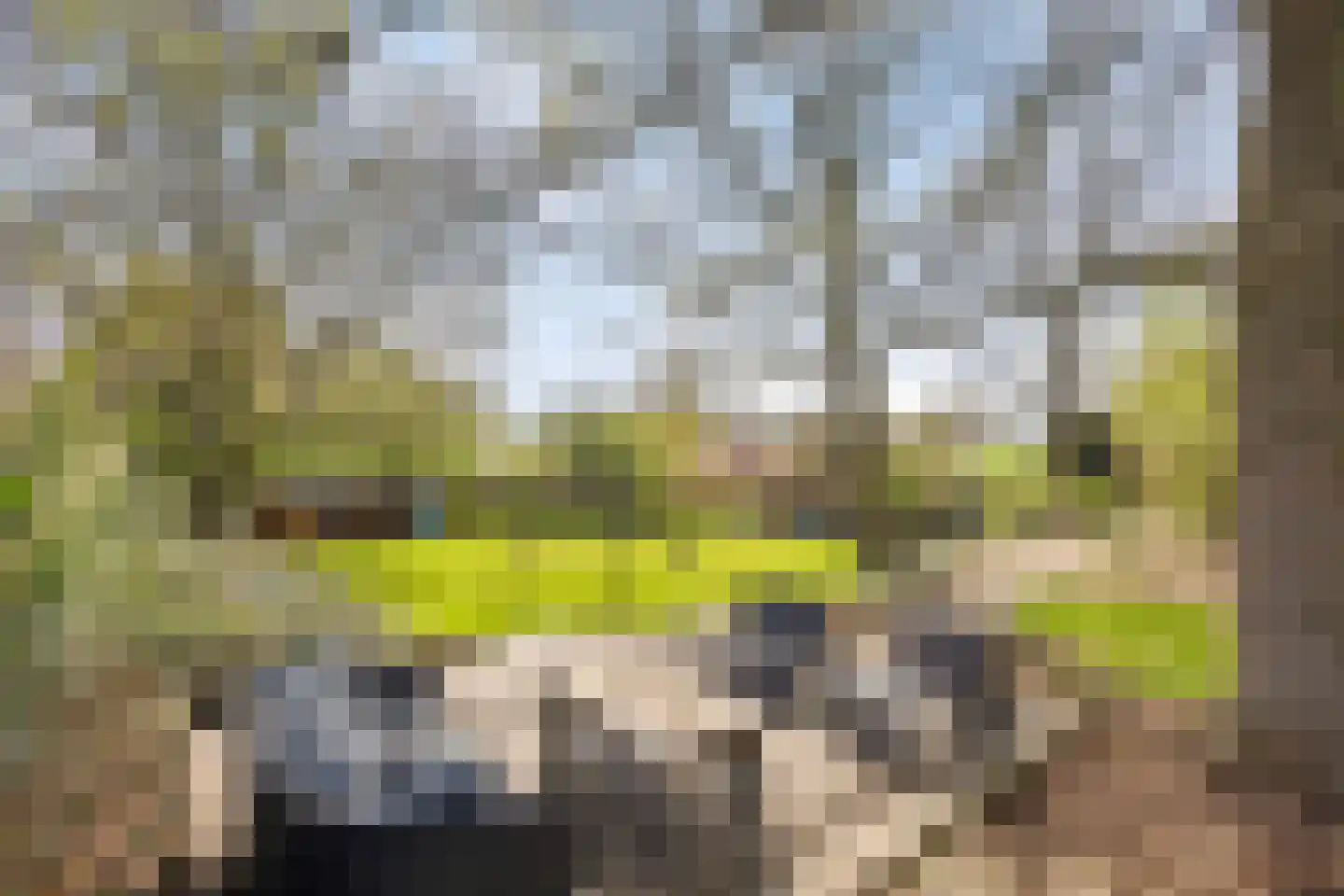Baarstraat 15 Thorn thumbnail 69