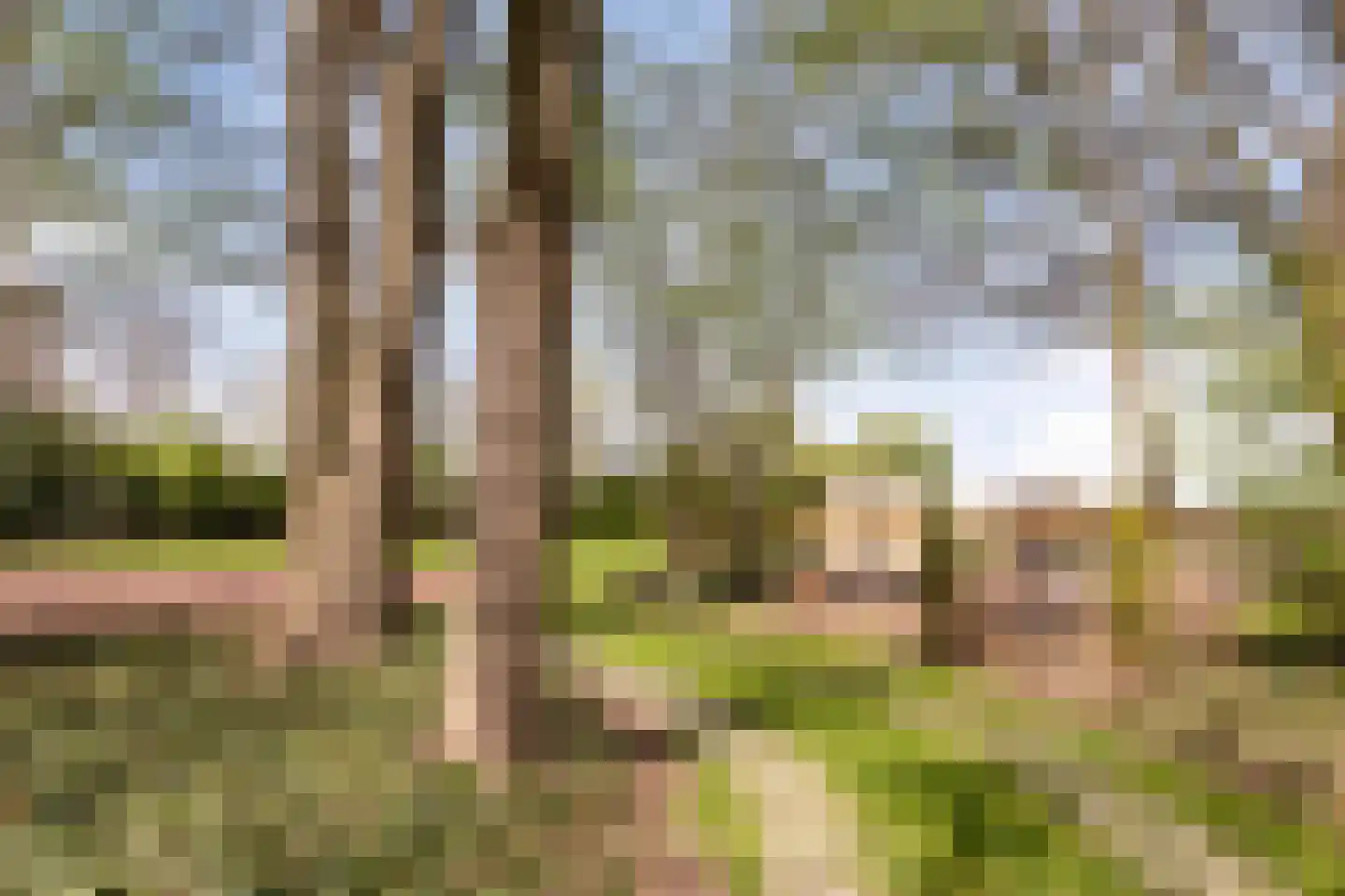 Baarstraat 15 Thorn thumbnail 71