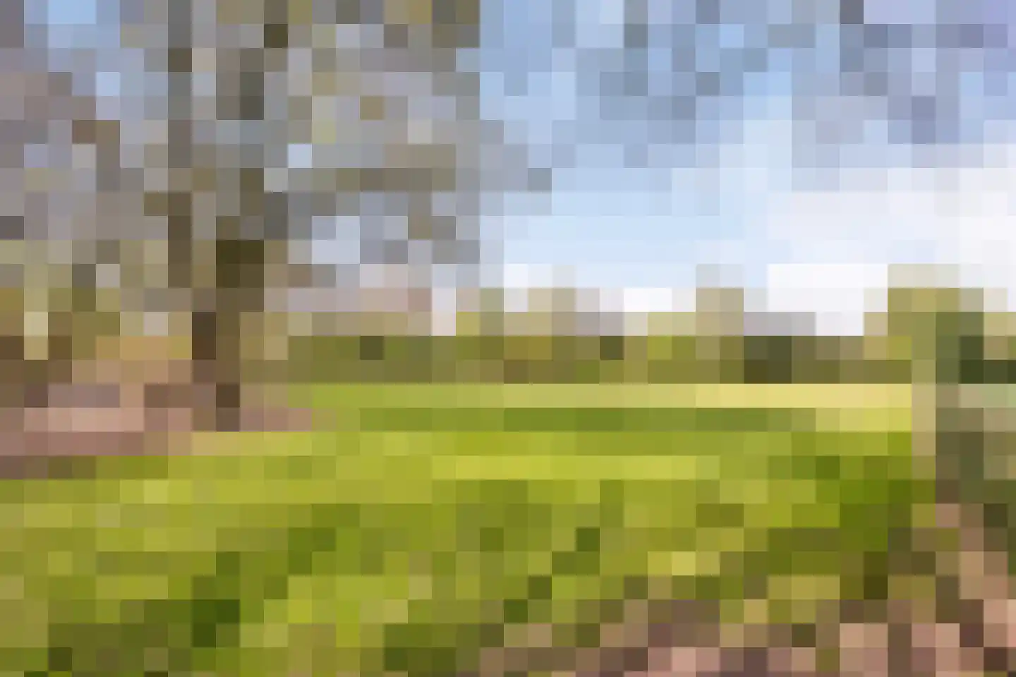 Baarstraat 15 Thorn thumbnail 72