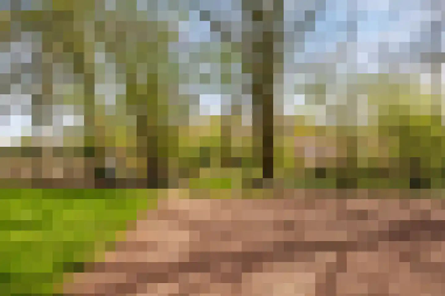 Baarstraat 15 Thorn thumbnail 74