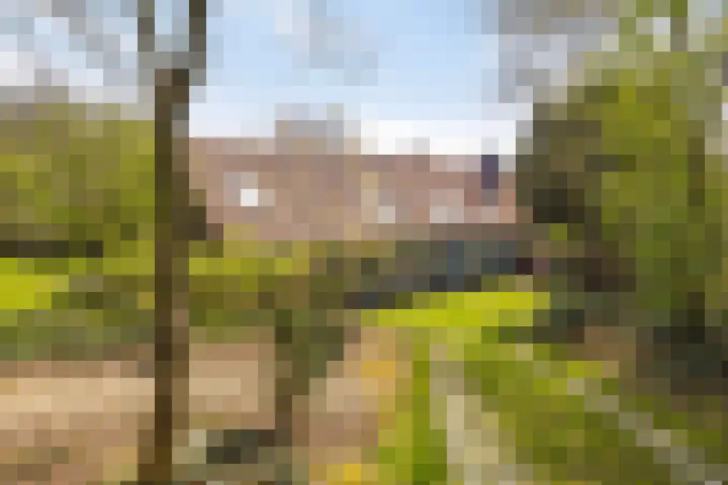 Baarstraat 15 Thorn thumbnail 75