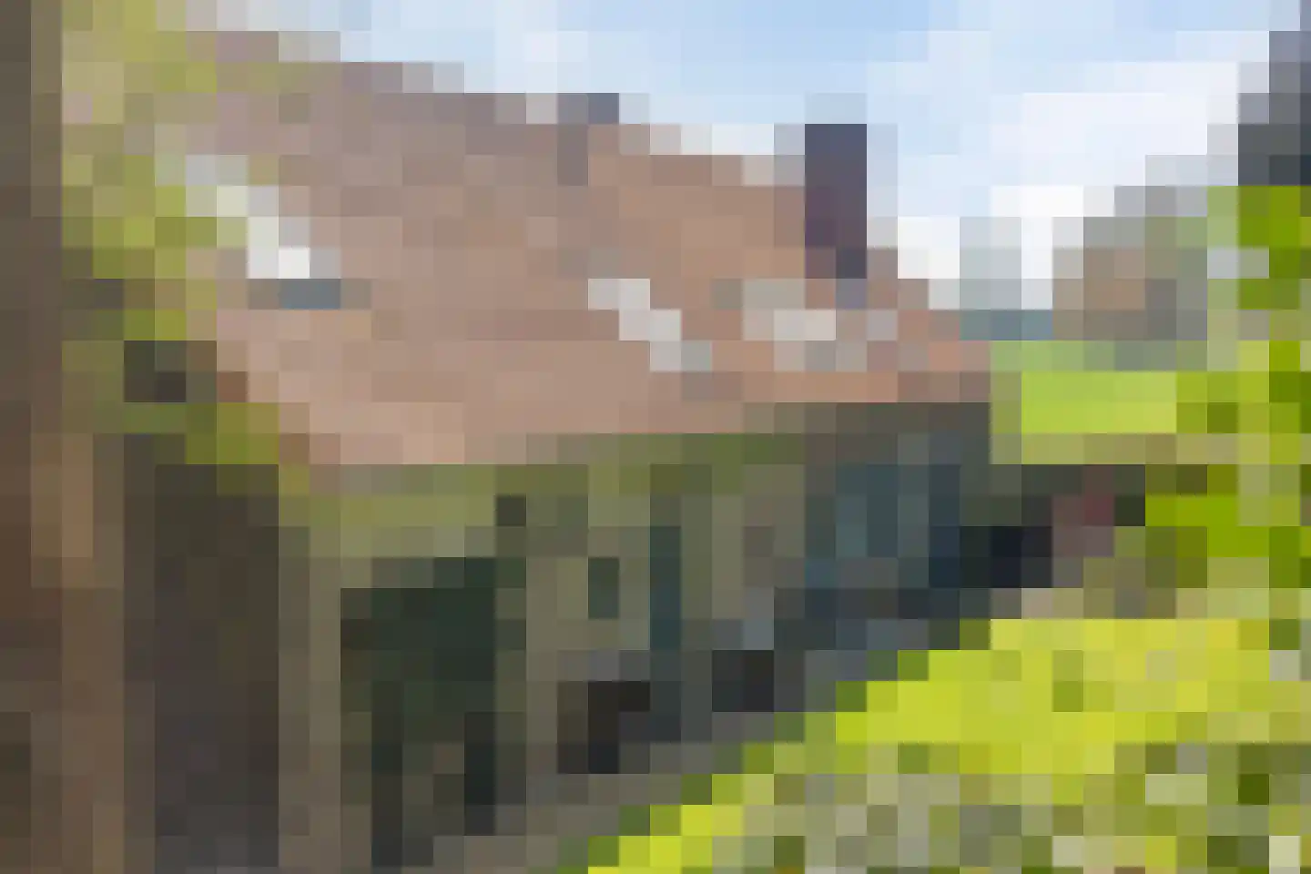 Baarstraat 15 Thorn thumbnail 76