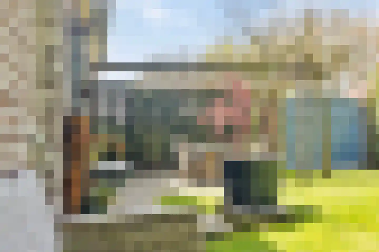 Baarstraat 15 Thorn thumbnail 79