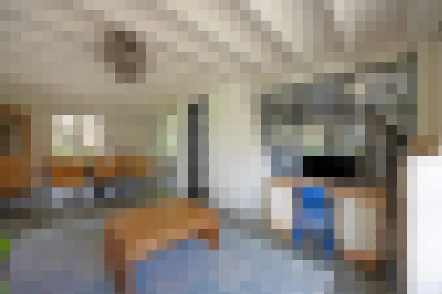 Baarstraat 15 Thorn thumbnail 8
