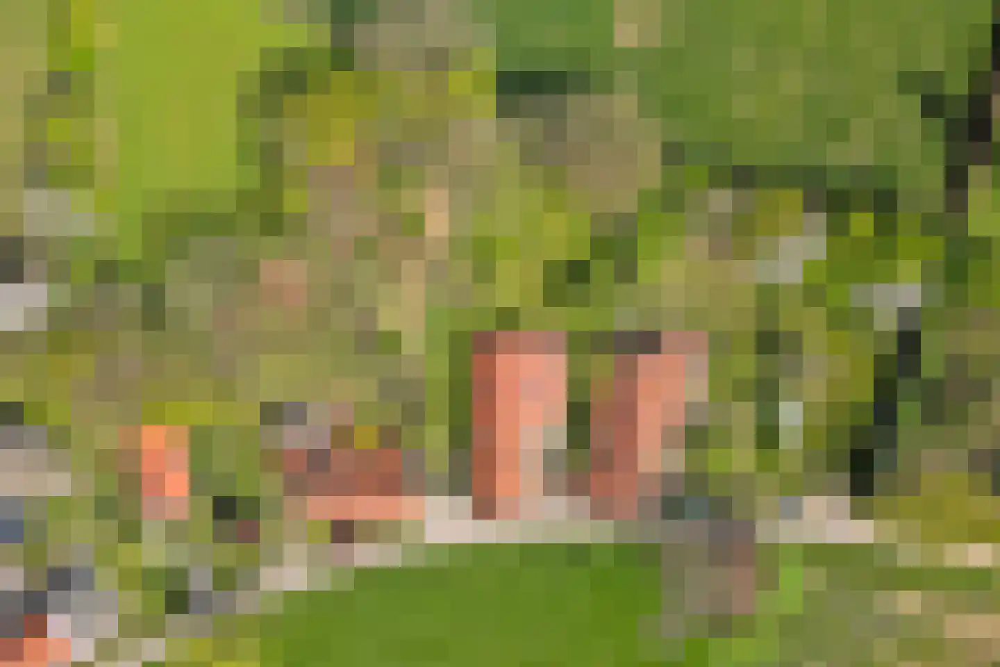 Baarstraat 15 Thorn thumbnail 87