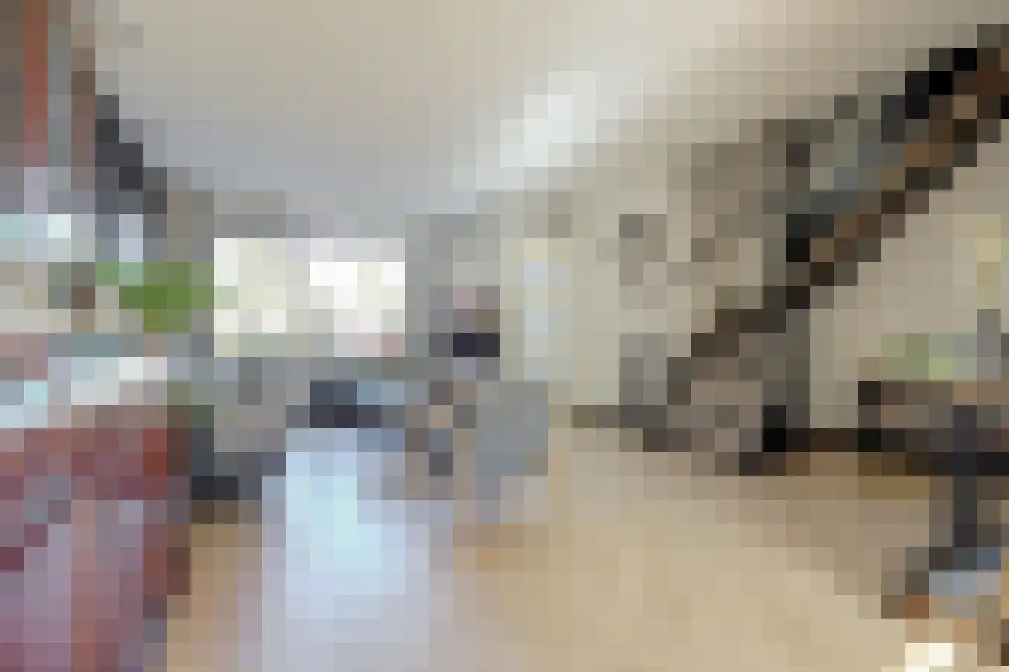Baarsveen 111 Spijkenisse thumbnail 10