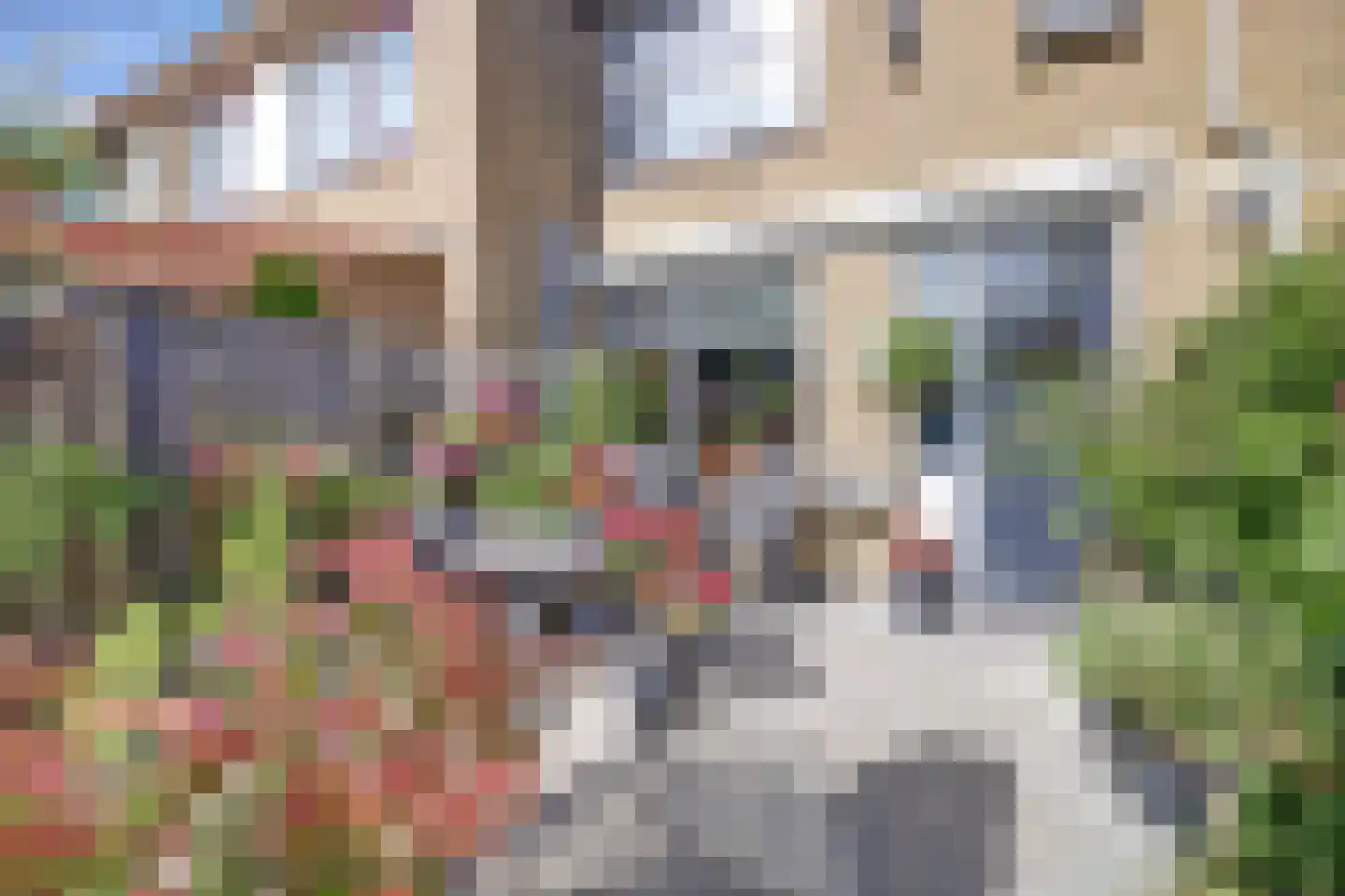 Baarsveen 111 Spijkenisse thumbnail 13