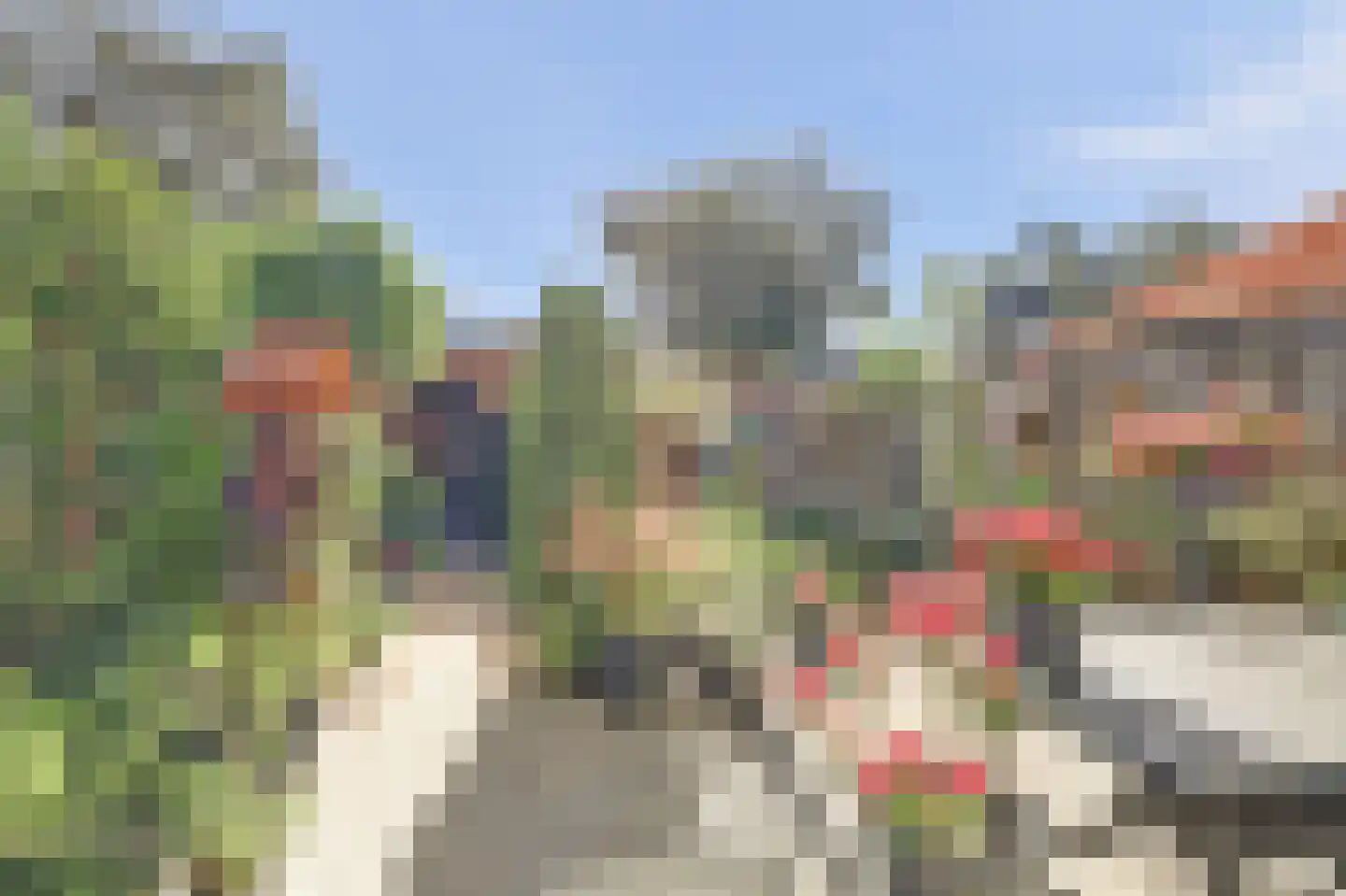 Baarsveen 111 Spijkenisse thumbnail 14