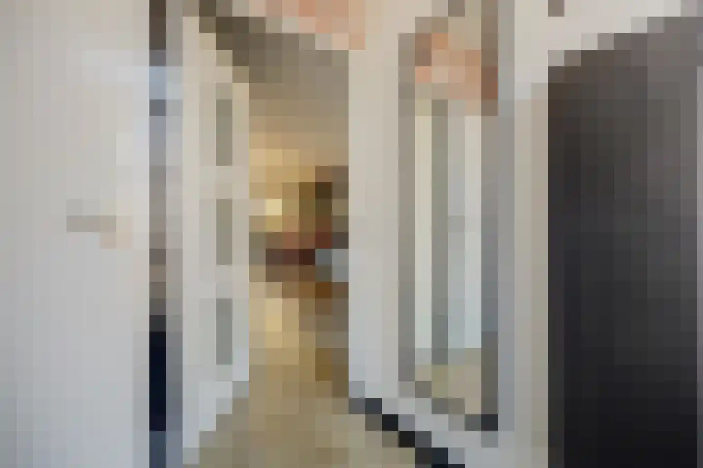 Baarsveen 111 Spijkenisse thumbnail 17