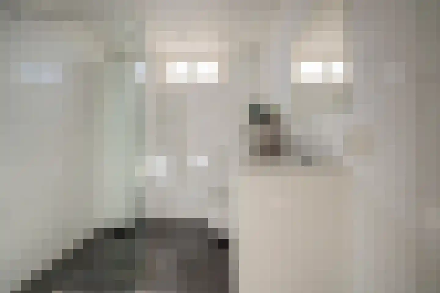 Baarsveen 111 Spijkenisse thumbnail 19
