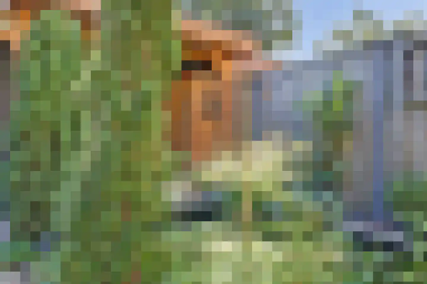 Baarsveen 111 Spijkenisse thumbnail 33