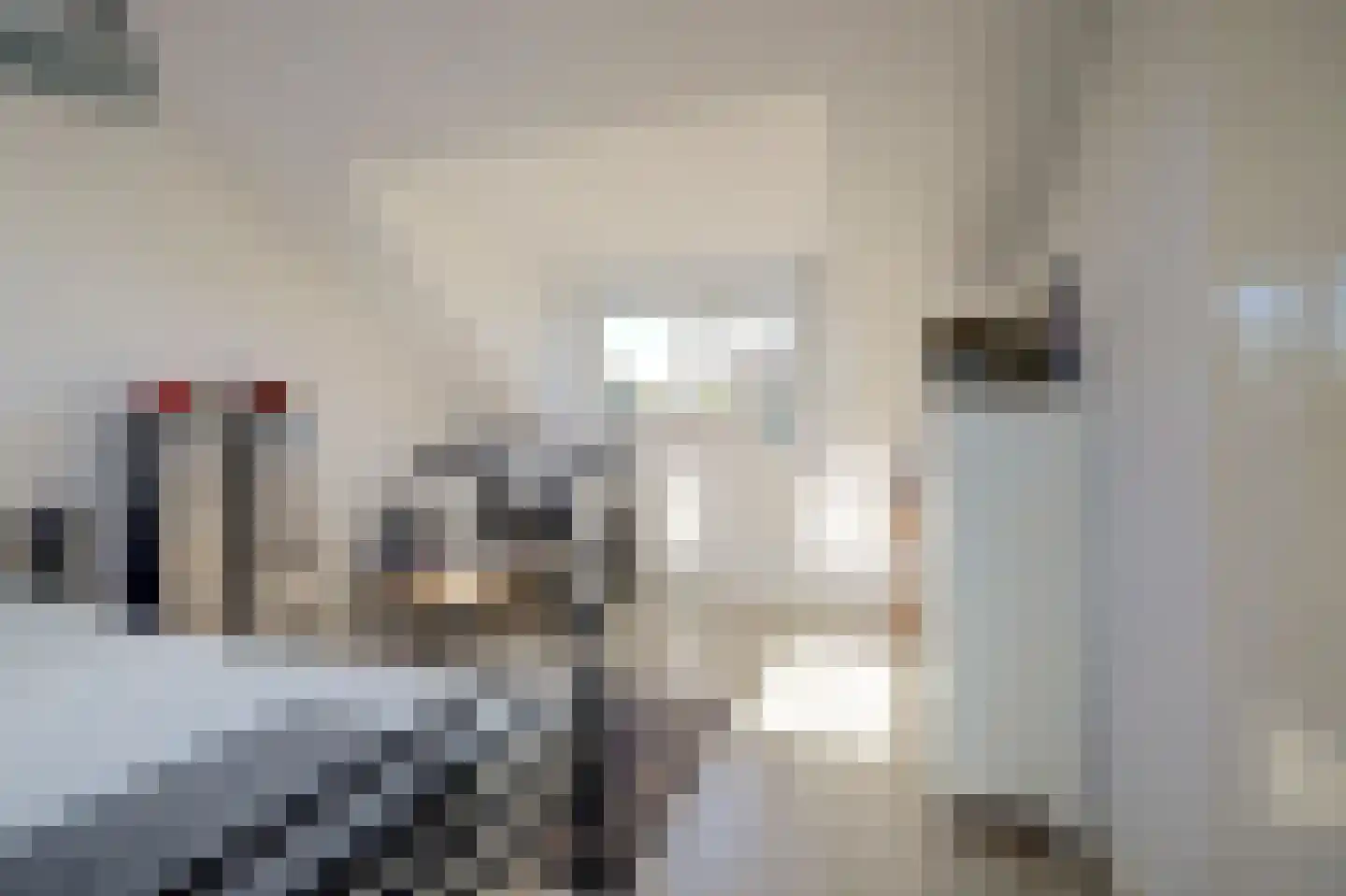 Baarsveen 111 Spijkenisse thumbnail 38