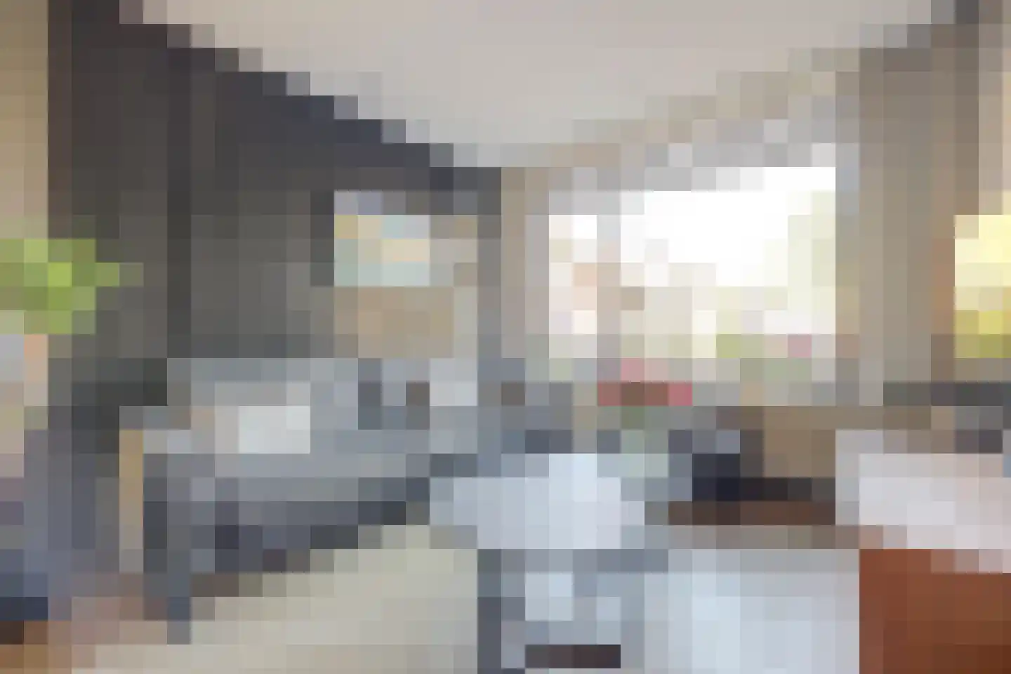 Baarsveen 111 Spijkenisse thumbnail 6