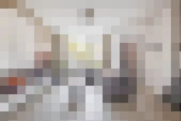 Baarsveen 124 Spijkenisse thumbnail 11