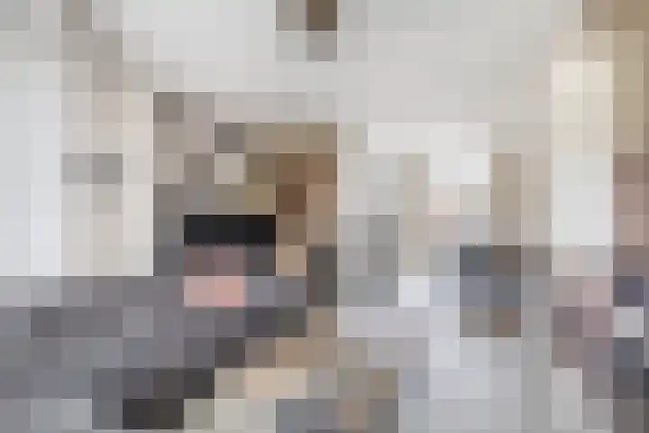 Baarsveen 124 Spijkenisse thumbnail 14