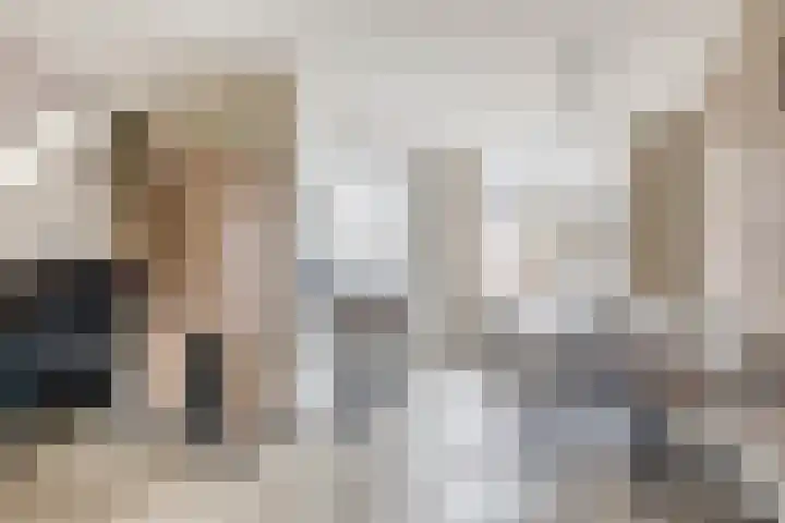 Baarsveen 124 Spijkenisse thumbnail 15