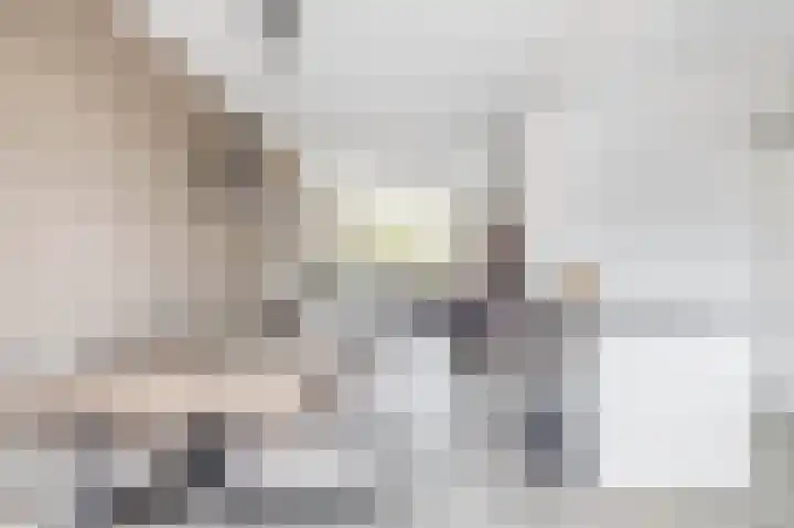 Baarsveen 124 Spijkenisse thumbnail 17