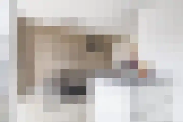 Baarsveen 124 Spijkenisse thumbnail 19