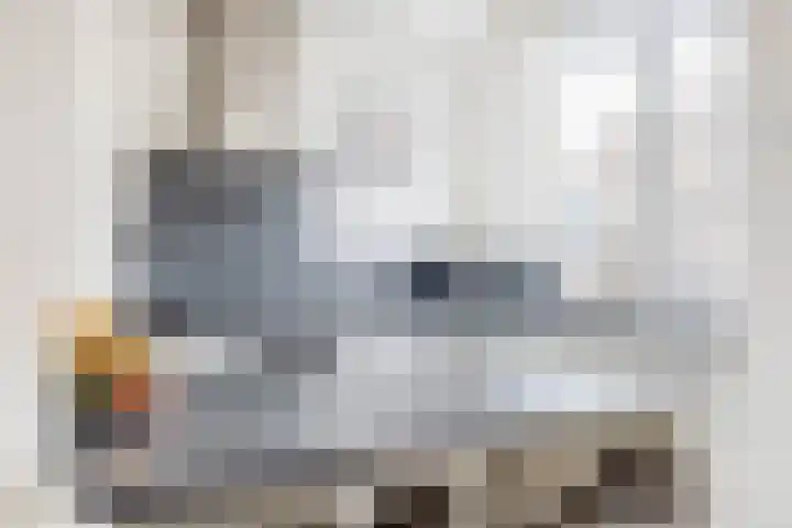 Baarsveen 124 Spijkenisse thumbnail 20