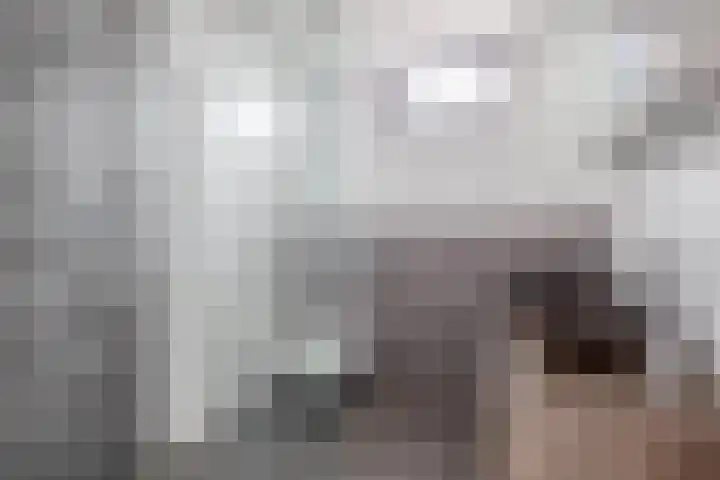 Baarsveen 124 Spijkenisse thumbnail 32