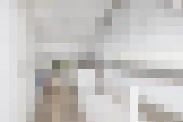 Baarsveen 124 Spijkenisse thumbnail 40