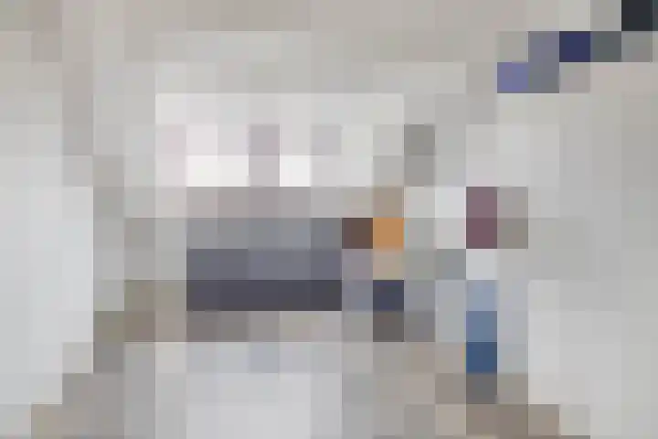 Baarsveen 124 Spijkenisse thumbnail 41
