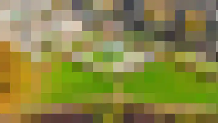 Baarsveen 124 Spijkenisse thumbnail 42