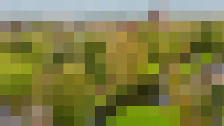 Baarsveen 124 Spijkenisse thumbnail 43