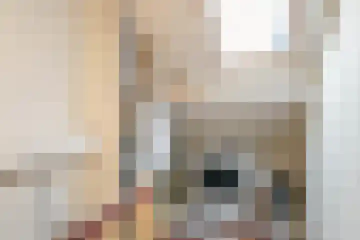 Baarsveen 128 Spijkenisse thumbnail 21