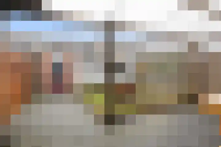 Baarsveen 128 Spijkenisse thumbnail 25