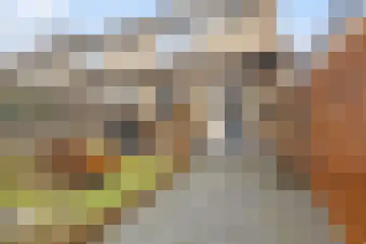 Baarsveen 128 Spijkenisse thumbnail 27
