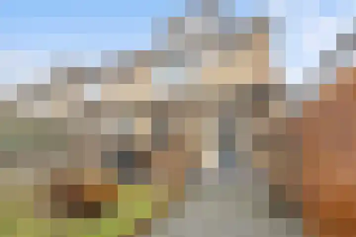 Baarsveen 128 Spijkenisse thumbnail 28
