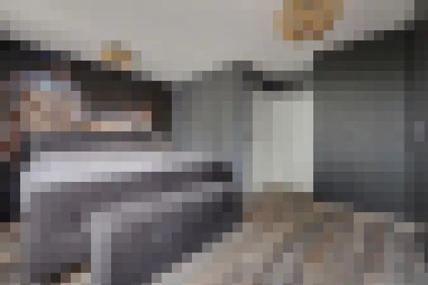 Baarsveen 137 Spijkenisse thumbnail 19