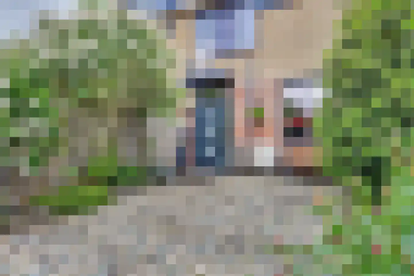 Baarsveen 137 Spijkenisse thumbnail 30