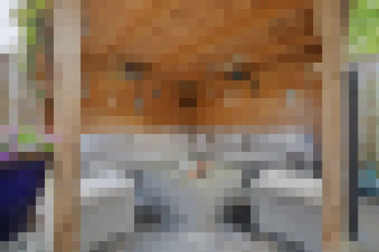 Baarsveen 137 Spijkenisse thumbnail 32