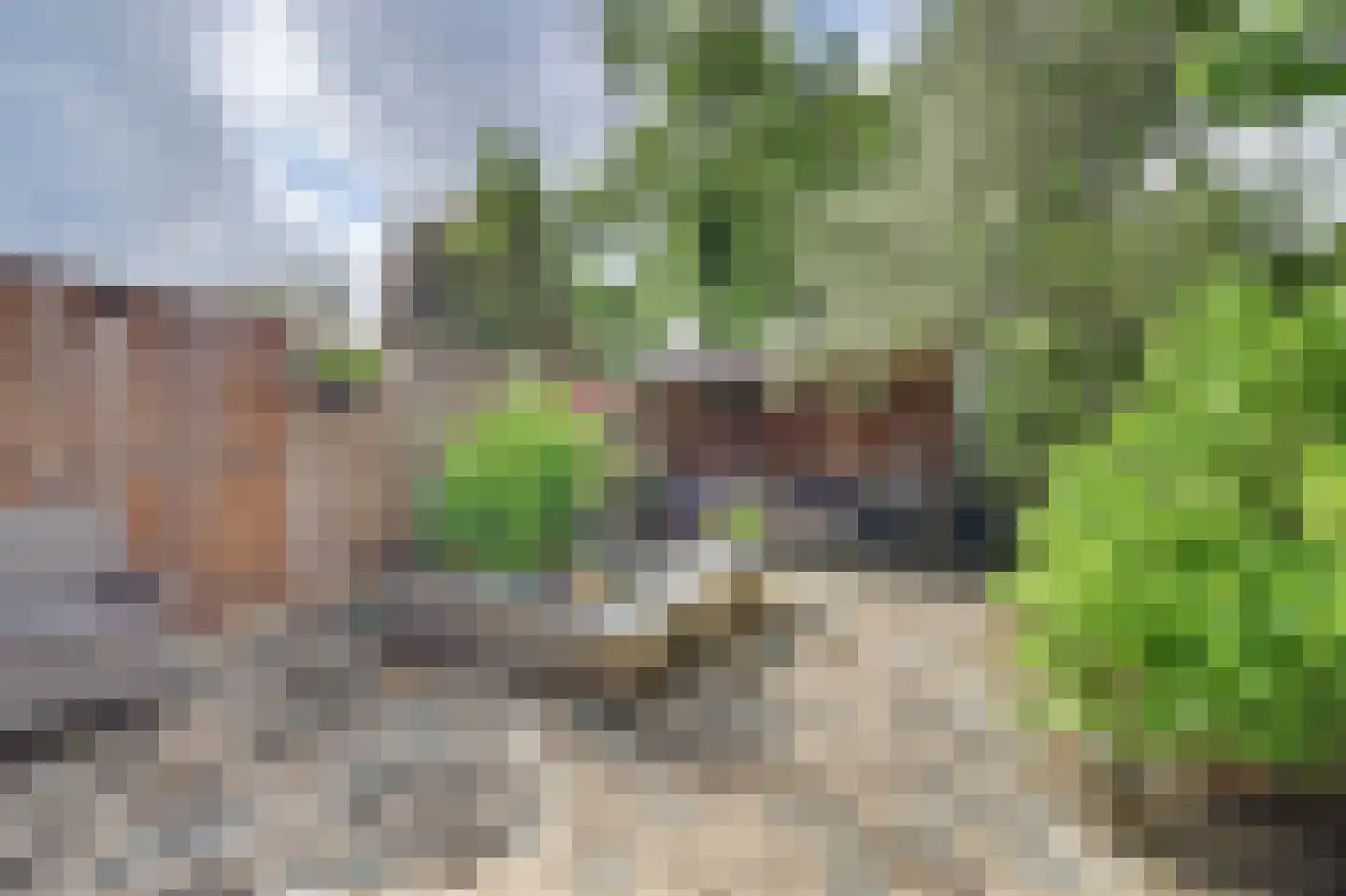 Baarsveen 137 Spijkenisse thumbnail 35