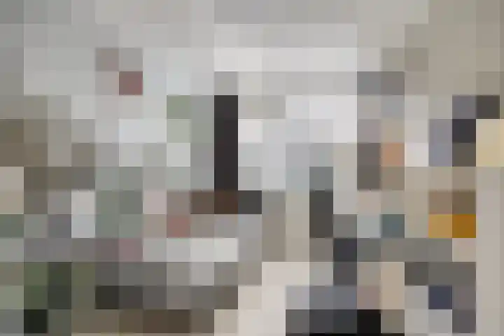 Baarsveen 185 Spijkenisse thumbnail 11