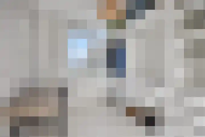 Baarsveen 185 Spijkenisse thumbnail 12