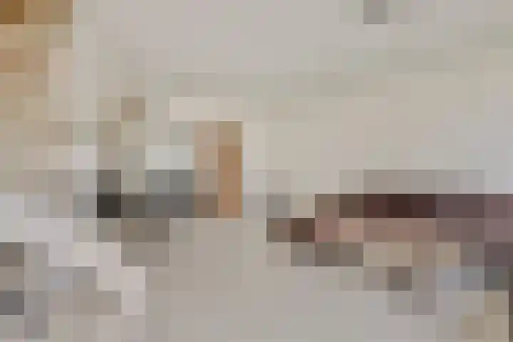 Baarsveen 418 Spijkenisse thumbnail 10