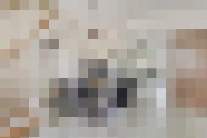 Baarsveen 418 Spijkenisse thumbnail 11