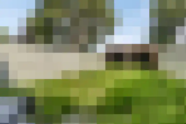 Baarsveen 418 Spijkenisse thumbnail 23