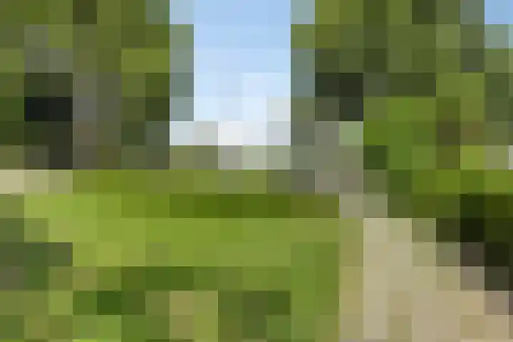 Baarsveen 418 Spijkenisse thumbnail 25