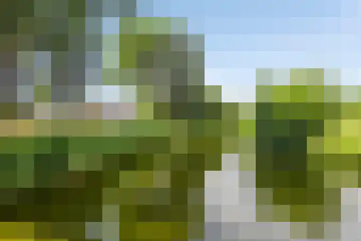 Baarsveen 418 Spijkenisse thumbnail 26