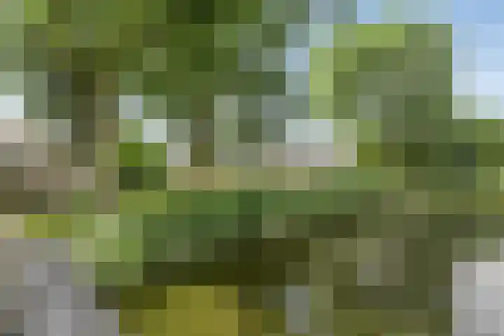 Baarsveen 418 Spijkenisse thumbnail 27