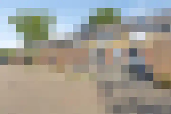 Baarsveen 418 Spijkenisse thumbnail 5
