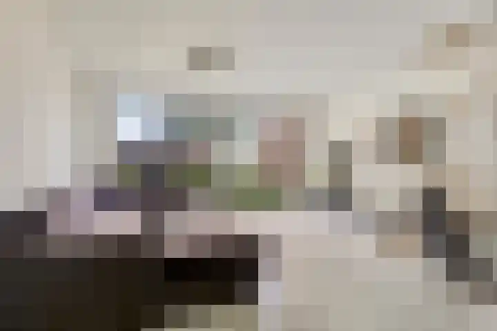 Baarsveen 418 Spijkenisse thumbnail 8