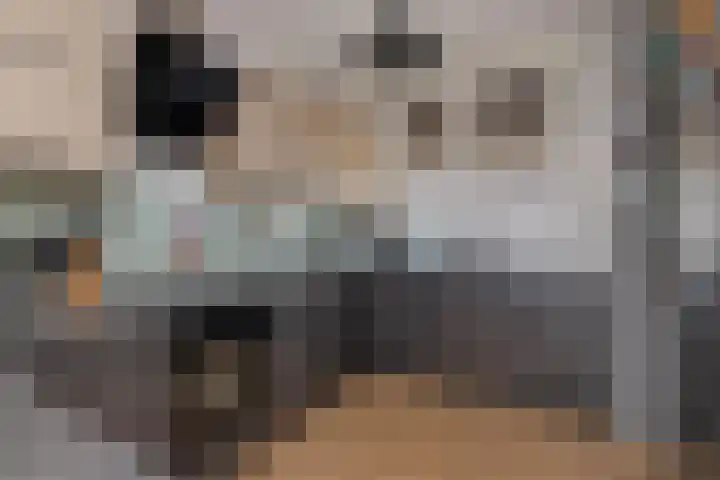 Baarsveen 425 Spijkenisse thumbnail 16