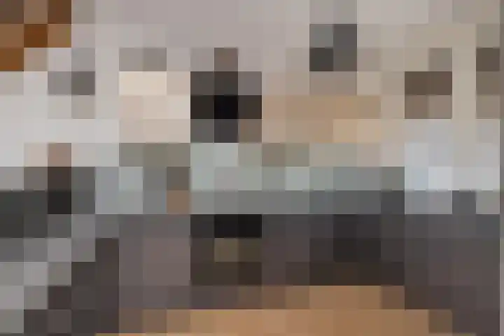 Baarsveen 425 Spijkenisse thumbnail 17